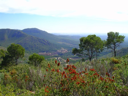 NUESTRO ENTORNO: “LA SIERRA CALDERONA” PAISAJE