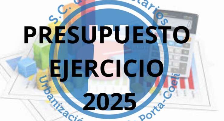 PRESUPUESTO EJERCICIO 2025